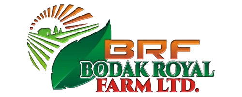 Bodak Royal Farm